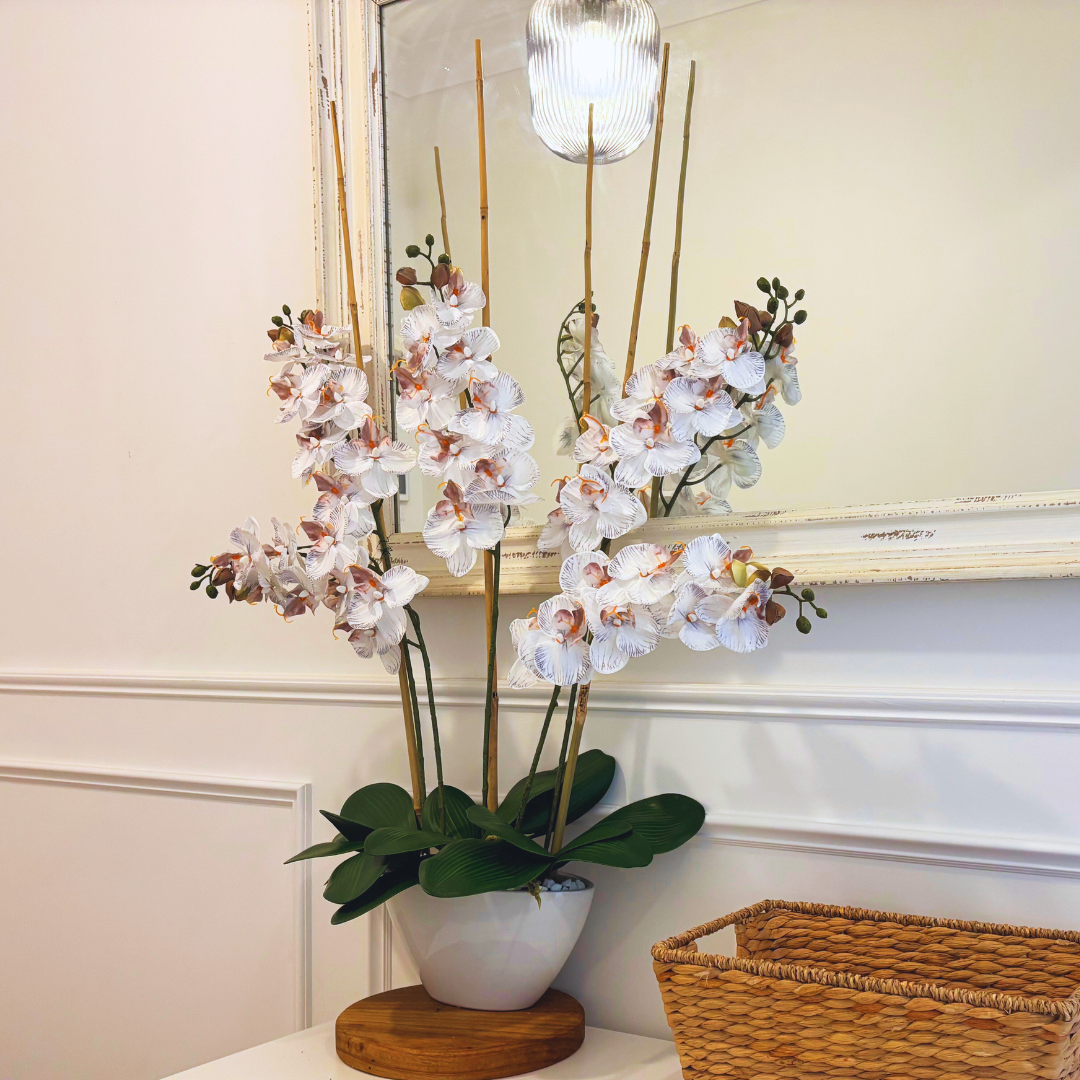 Swan Lake - Flower Arranging Kit