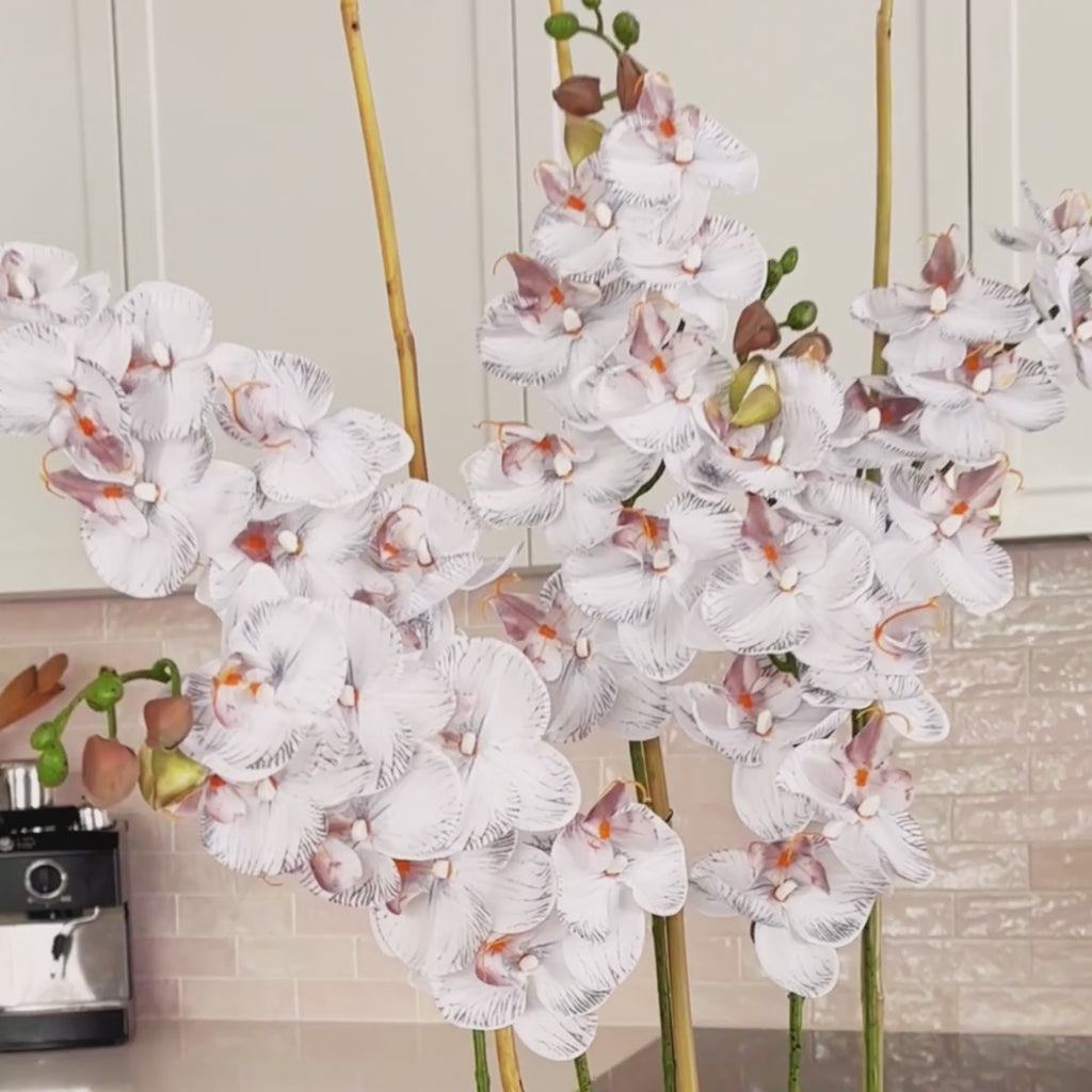 Swan Lake - Flower Arranging Kit